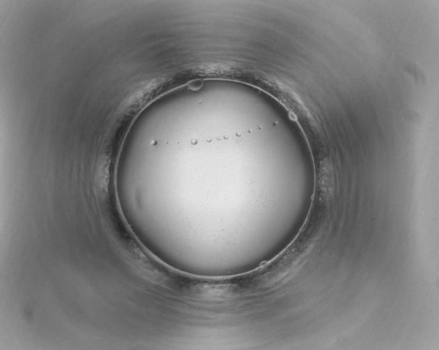 X0000115690495200911251816