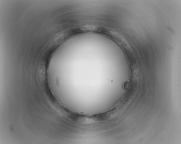 X0000115690498200911251816