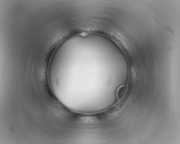 X0000115690499200911251816