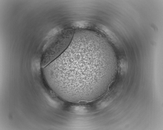 X0000115690500200911251816