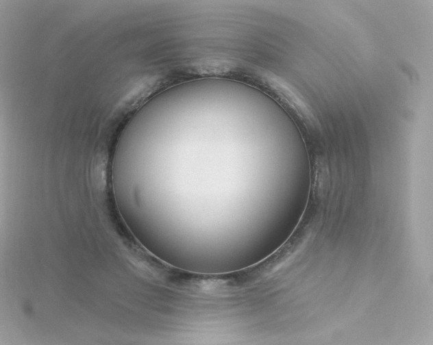 X0000115690501200911251816