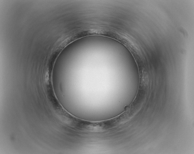 X0000115690502200911251816