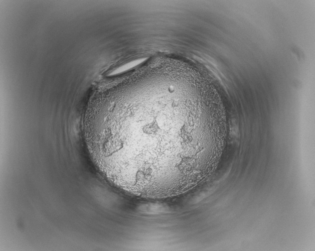 X0000115690503200911251816