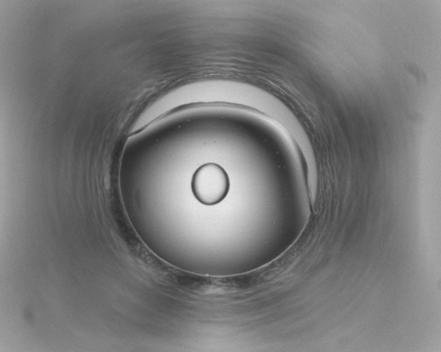 X0000115690504200911251816