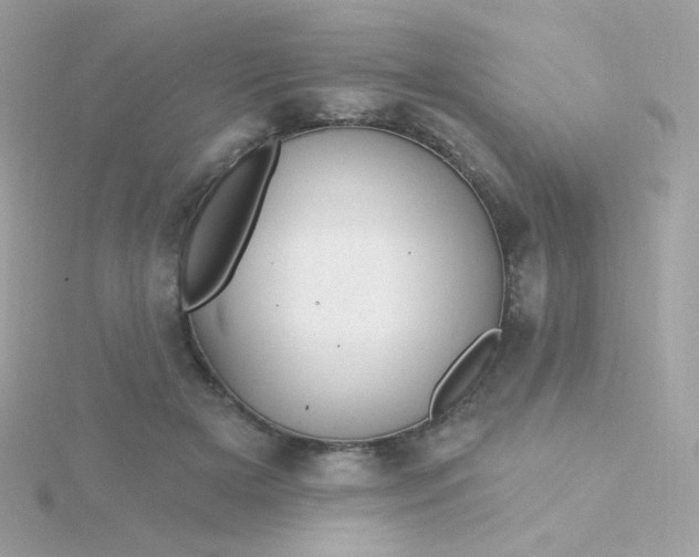 X0000115690505200911251816