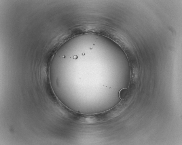 X0000115690506200911251816