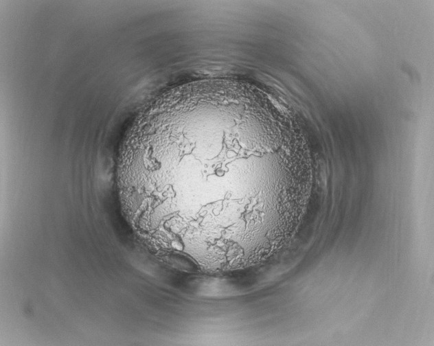 X0000115690507200911251816