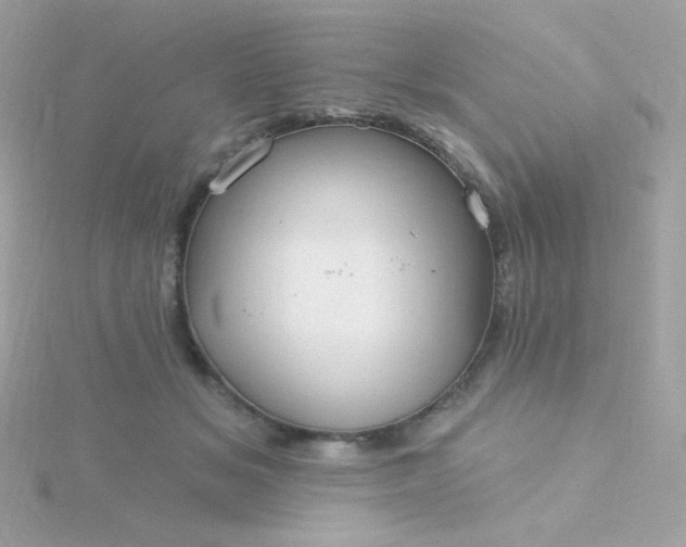 X0000115690509200911251816