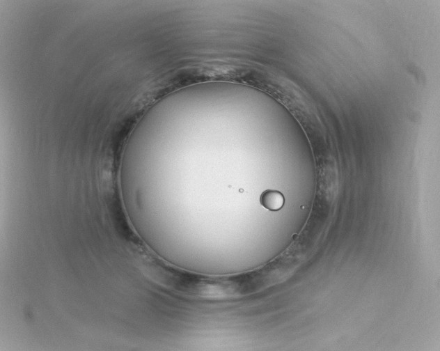 X0000115690510200911251816