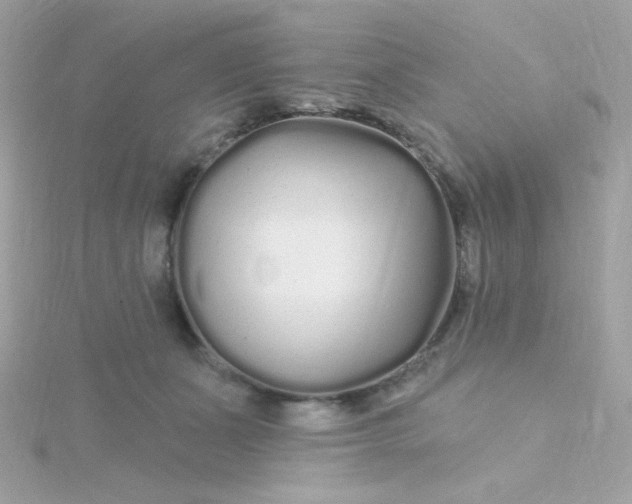 X0000115690511200911251816