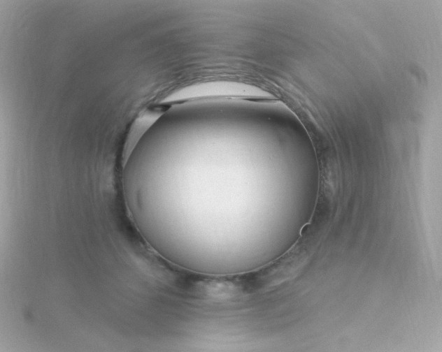 X0000115690512200911251816