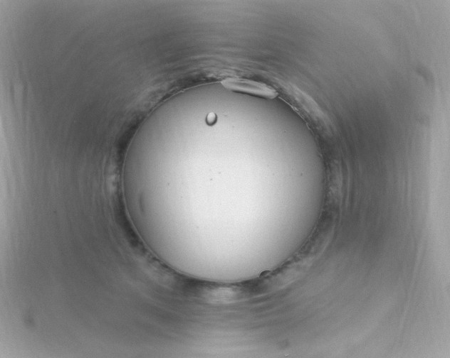 X0000115690513200911251816