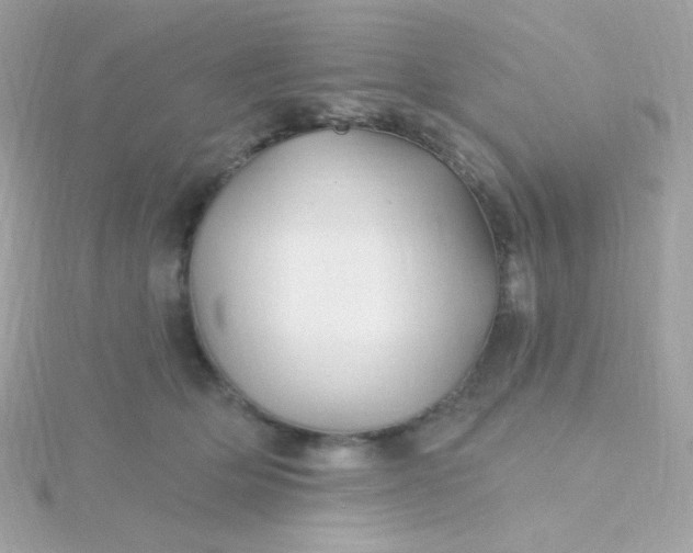 X0000115690514200911251816