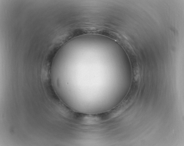 X0000115690515200911251816