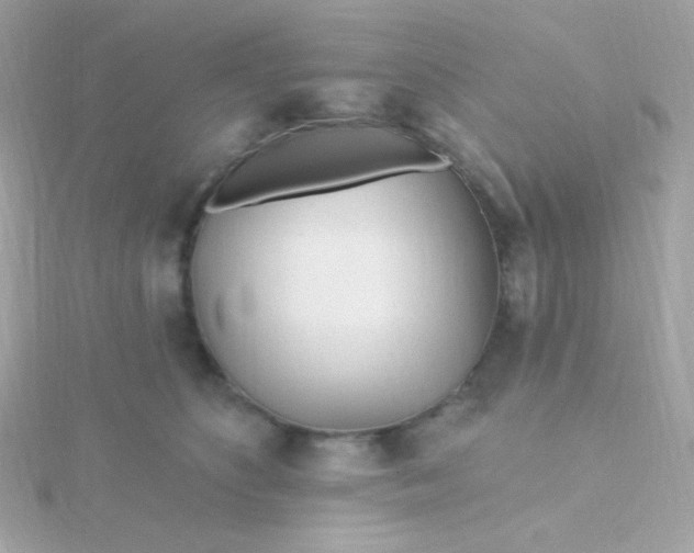 X0000115690516200911251816