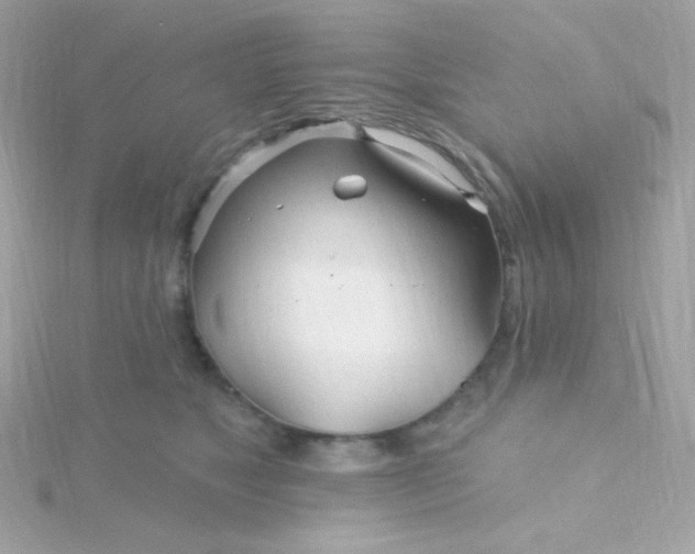 X0000115690517200911251816