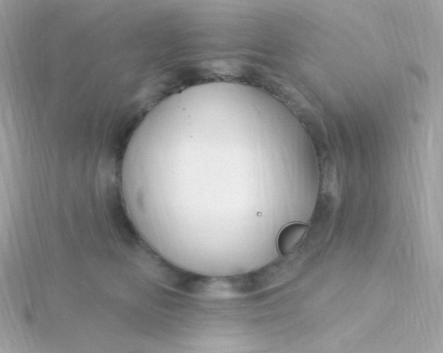 X0000115690518200911251816