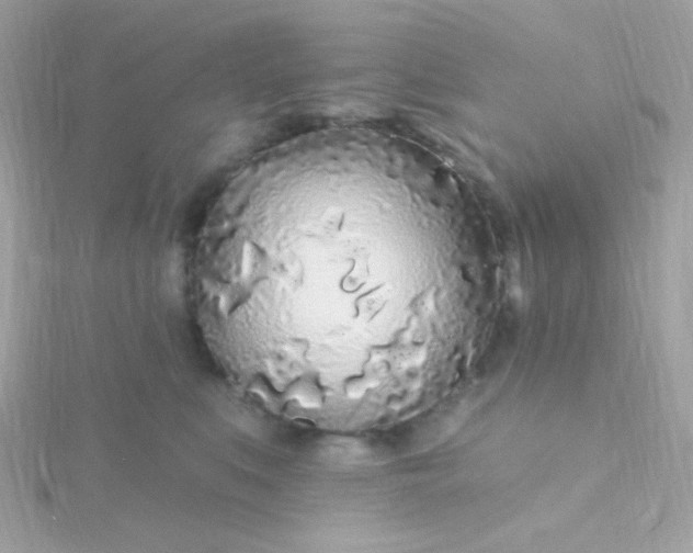 X0000115690519200911251816