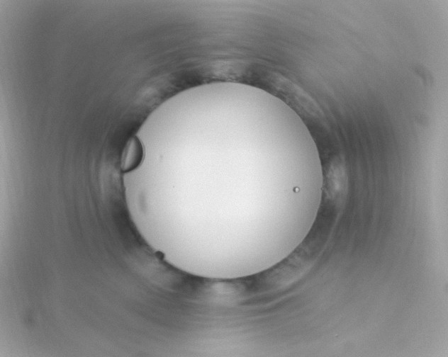 X0000115690522200911251816