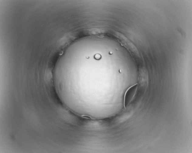 X0000115690523200911251816