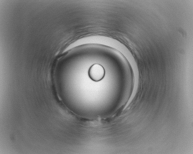 X0000115690524200911251816