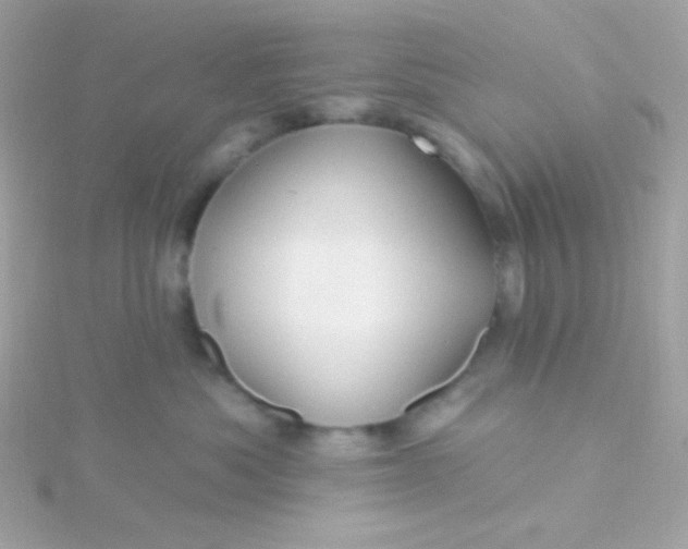 X0000115690525200911251816