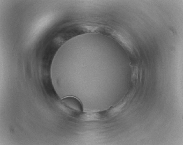 X0000115690526200911251816