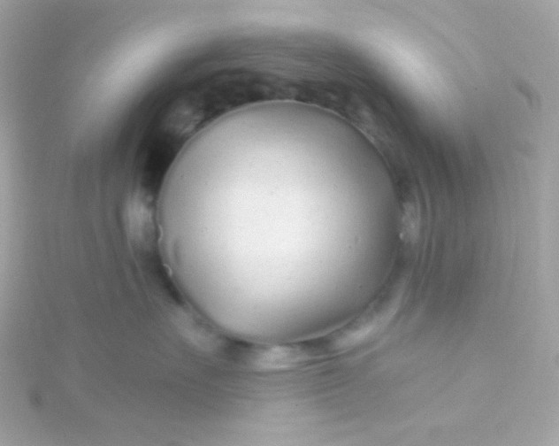 X0000115690527200911251816