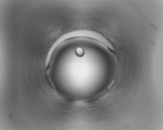 X0000115690528200911251816