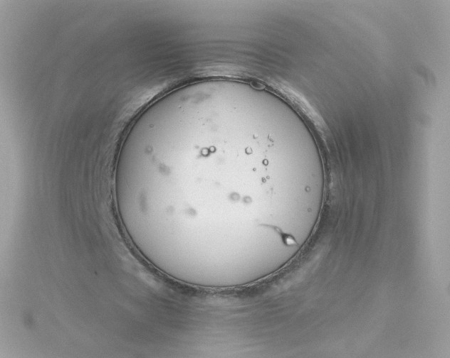 X0000115690529200911251815