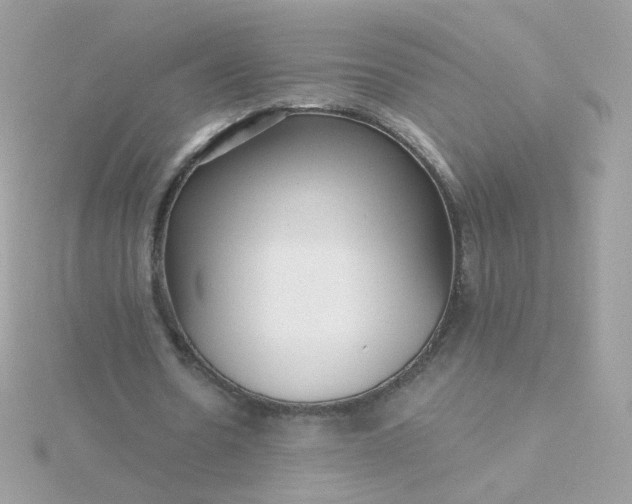 X0000115690530200911251815