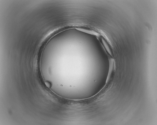 X0000115690531200911251815