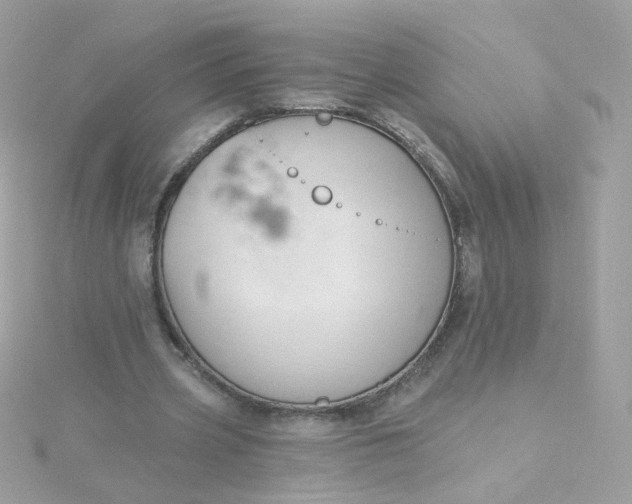 X0000115690533200911251815