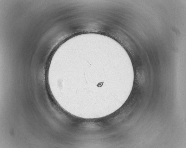 X0000115690534200911251815