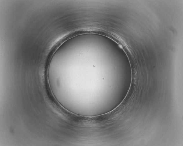 X0000115690535200911251815