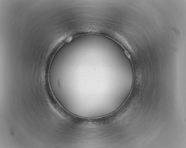 X0000115690538200911251815