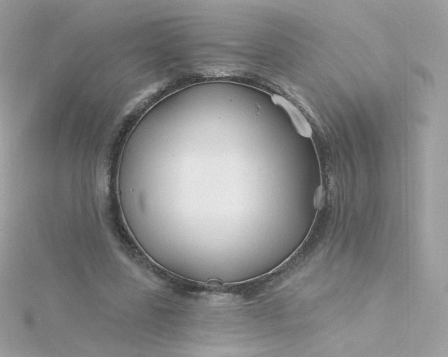 X0000115690539200911251815