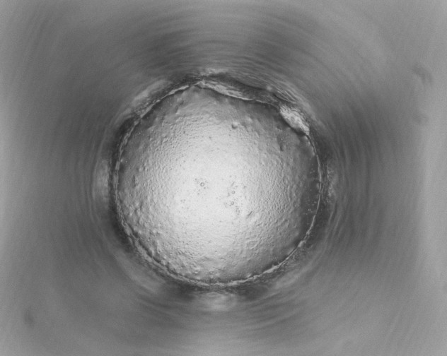 X0000115690542200911251815