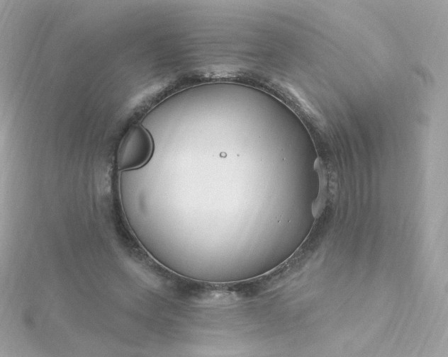 X0000115690543200911251815