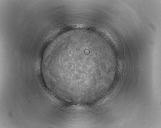 X0000115690545200911251815