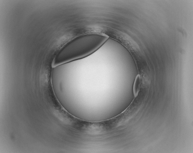 X0000115690546200911251815