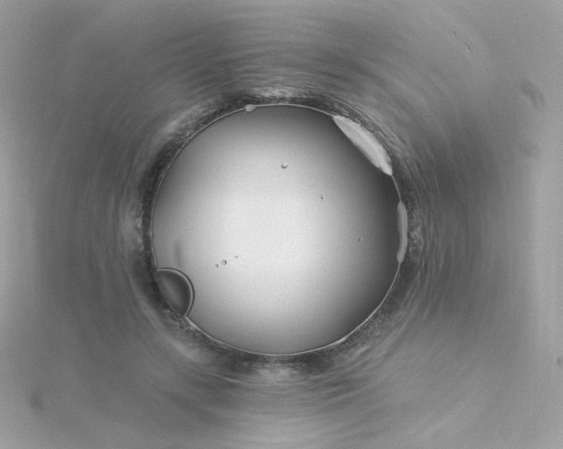 X0000115690547200911251815