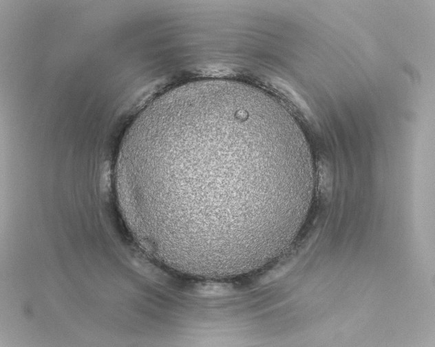 X0000115690549200911251815