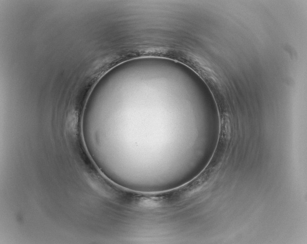 X0000115690550200911251815