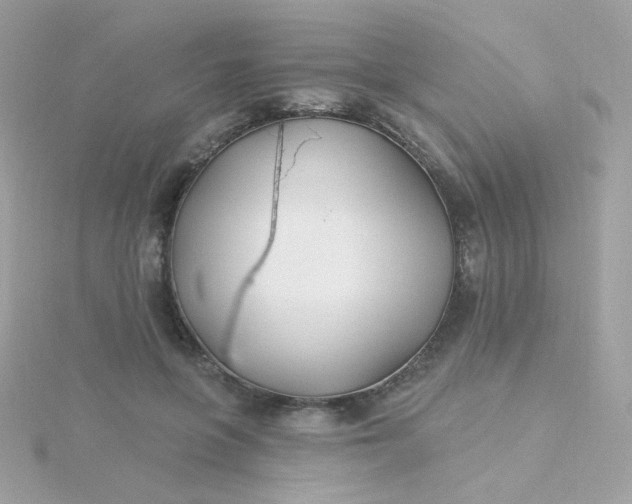 X0000115690551200911251815