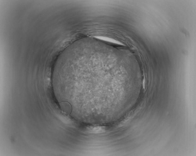 X0000115690553200911251815