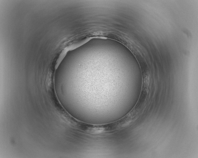 X0000115690554200911251815