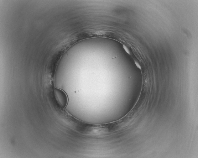 X0000115690555200911251815