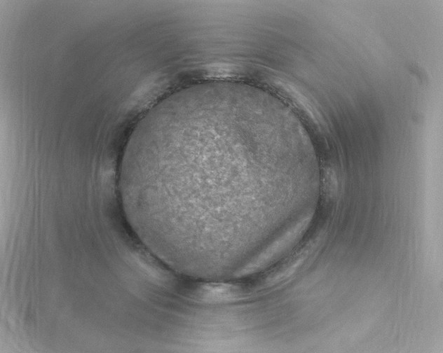 X0000115690557200911251815