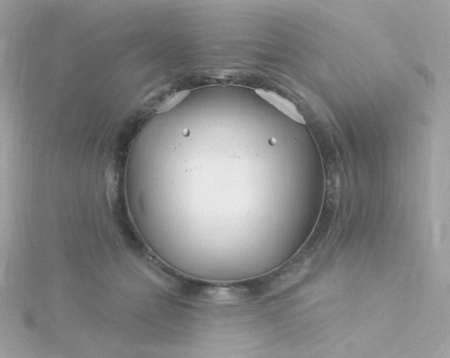 X0000115690558200911251815